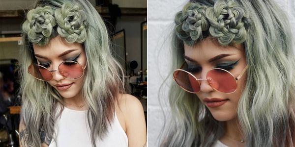 Суккулент Суккулент