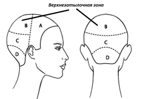 Верхнезатылочная зона ерхнезатылочная зона