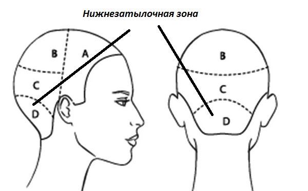 Нижнезатылочная зона Нижнезатылочная зона