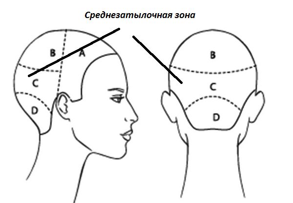 Среднезатылочная зона Среднезатылочная зона